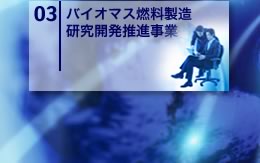 バイオマス燃料製造研究開発推進事業