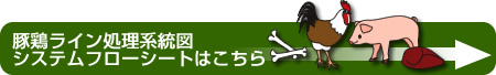 豚鶏ライン処理系統図システムフローシートはこちら