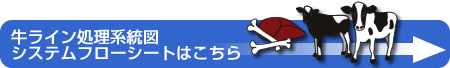 牛ライン処理系統図システムフローシートはこちら